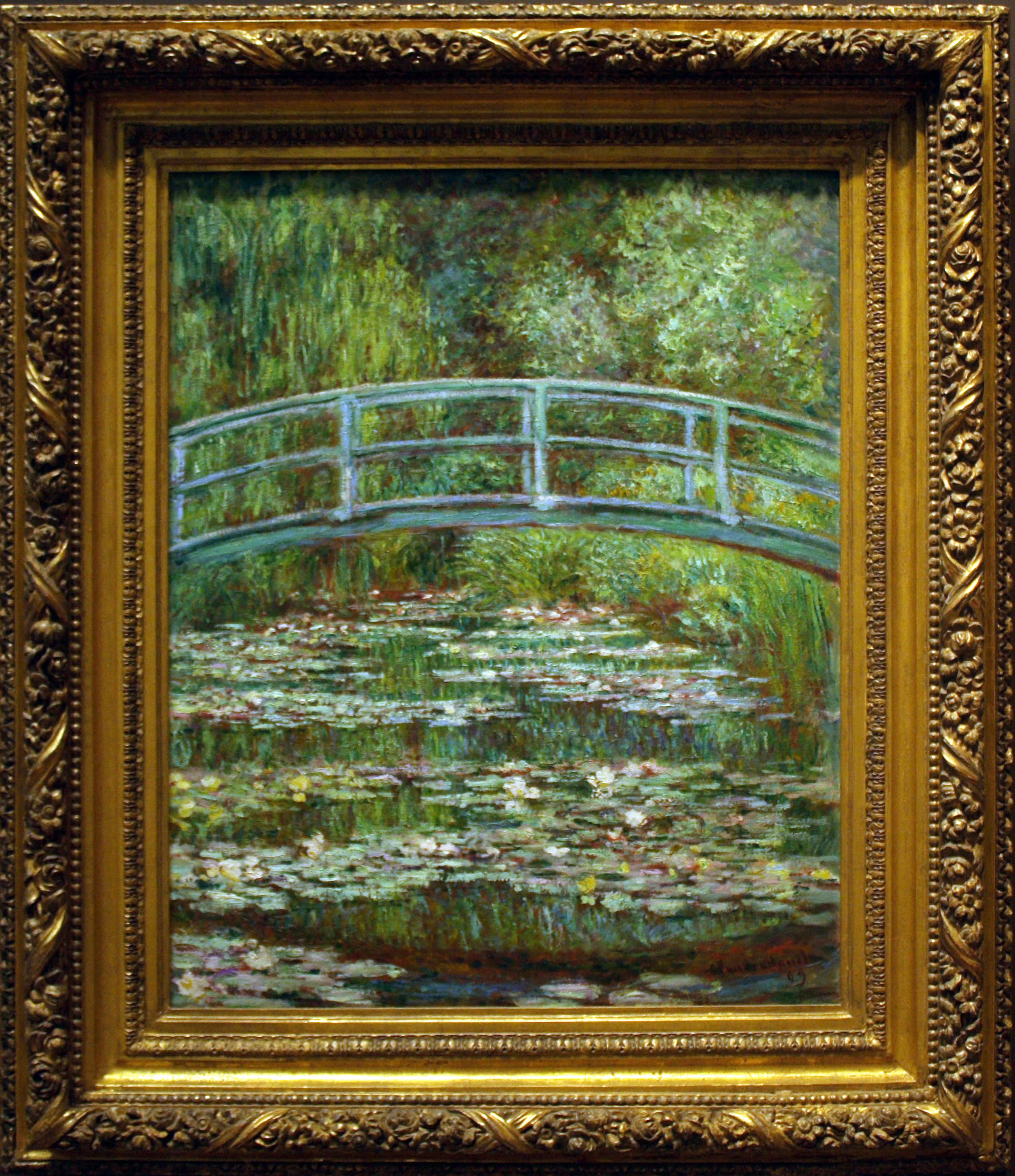 The Water Lily Pond